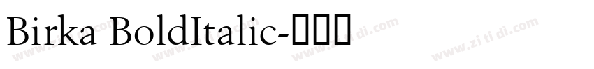 Birka BoldItalic字体转换